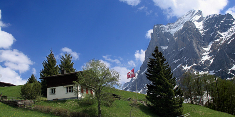 Switzerland flag and alps